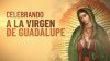 “Como una reina”: San Diego celebra a la Virgen de Guadalupe