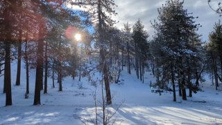 About a foot of snow fell in Mount Laguna on Jan. 30, 2023 from a winter storm.