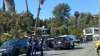 Un hombre murió mientras podaba una palmera de 50 pies de altura en Bonita