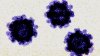 El norovirus parece estar propagándose en EEUU a medida que aumenta la tasa de pruebas positivas