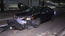 A tree landed on a moving vehicle in Mission Valley on Feb. 22, 2023.