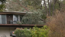 A pine tree landed on a home in Poway on March 1, displacing the homeowner.