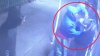 Escalofriante video: le apuntan una pistola a la cabeza a trabajador hispano