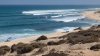 Encuentran muertos a dos turistas estadounidenses en un hotel de Baja California Sur