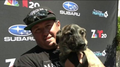 Más de 400 mascotas fuerona adoptadas en San Diego este sábado