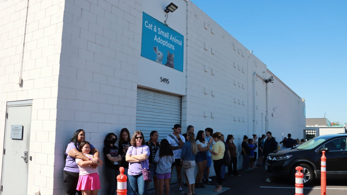 Photos: 2023 Clear the Shelters main adoption event at San Diego Humane ...