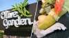 De horror: cliente de Olive Garden encuentra una pata de rata en su sopa, según demanda