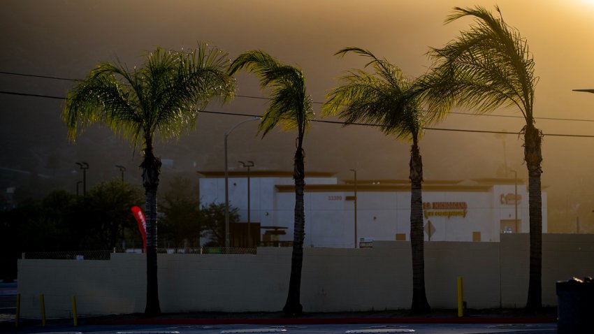 SAN JACINTO, CA – NOVEMBER 24, 2022: Palm trees bend in the wind as powerful winds forced Southern California Edison to shut off the power to the area on Thanksgiving day November 24, 2022 in San Jacinto, California. The power is out in the area of Highway 74 and Vista Place. The San Ana winds will continue through Friday.(Gina Ferazzi / Los Angeles Times via Getty Images)