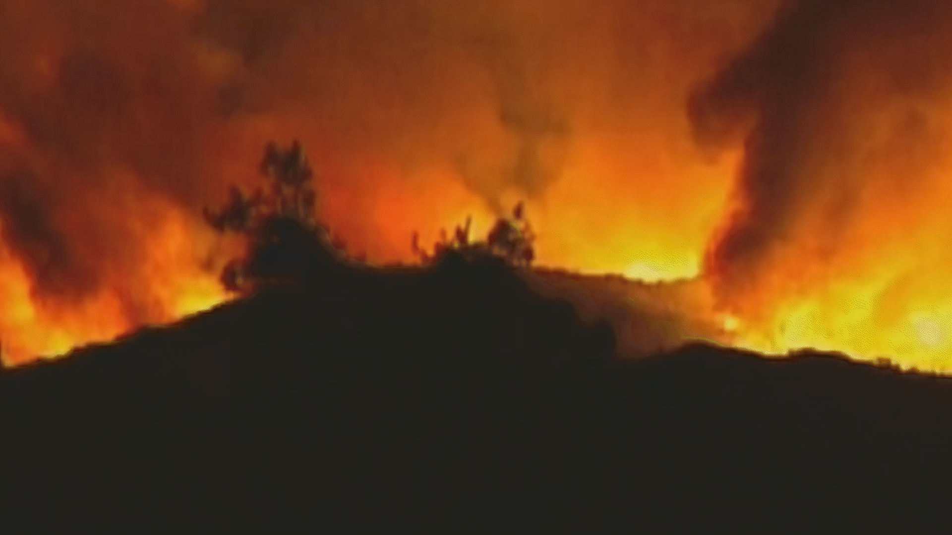 Tormenta de fuego 2003:  20 años del incendio Cedar, el más grande y mortífero de San Diego