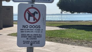 Mission Bay dog walkers are working to repeal a ban on walking the pups by the bay, (NBC 7)