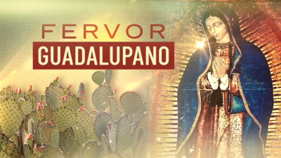 Programa especial: El Fervor a la Virgen de Guadalupe