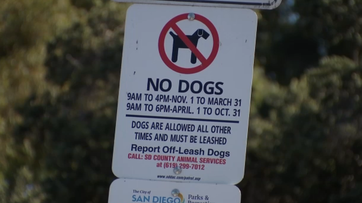 Los lugares en los que está prohibido soltar al perro en la calle