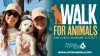 ¡Únete al San Diego Humane Society, Telemundo 20 y NBC 7 en la ‘Caminata por los Animales’ el 21 de marzo en el norte del condado!