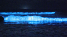 An image of bioluminescent waves at Torrey Pines State Beach on Feb. 12, 2024. (Image courtesy of Vishwas Lokesh)
