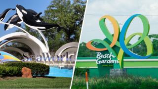 Fotos de los parques temáticos SeaWorld y Busch Gardens.