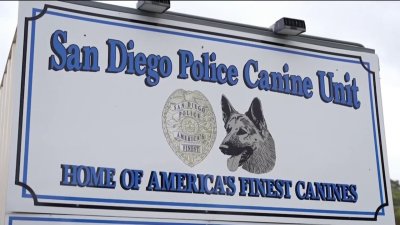 Proponen medidas de usos de perros policías en San Diego