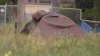 Vecinos reclaman que un lote baldío en Chula Vista se volvió campamento de personas sin hogar