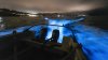 Lancha deja olas bioluminiscentes a su paso en San Diego