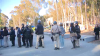 Policía desmantela campamento pro-palestino en UCSD; y arresta decenas de estudiantes