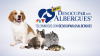 La campaña anual de adopción de mascotas de Telemundo 20 y NBC 7, ‘Desocupar los Albergues’, ya arrancó y termina el 10 de septiembre