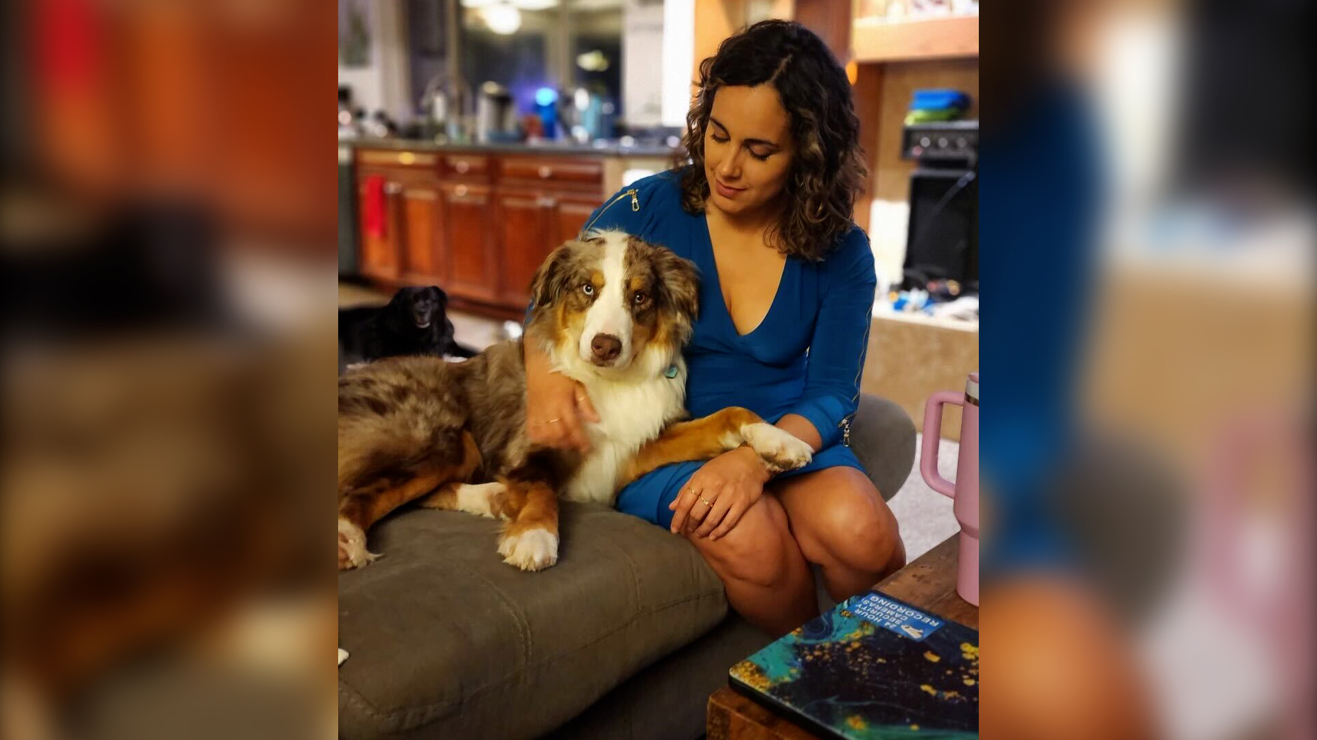 ¡Alexis Rivas de NBC 7 y Telemundo 20 Investiga ama a su perro activo Hershey!