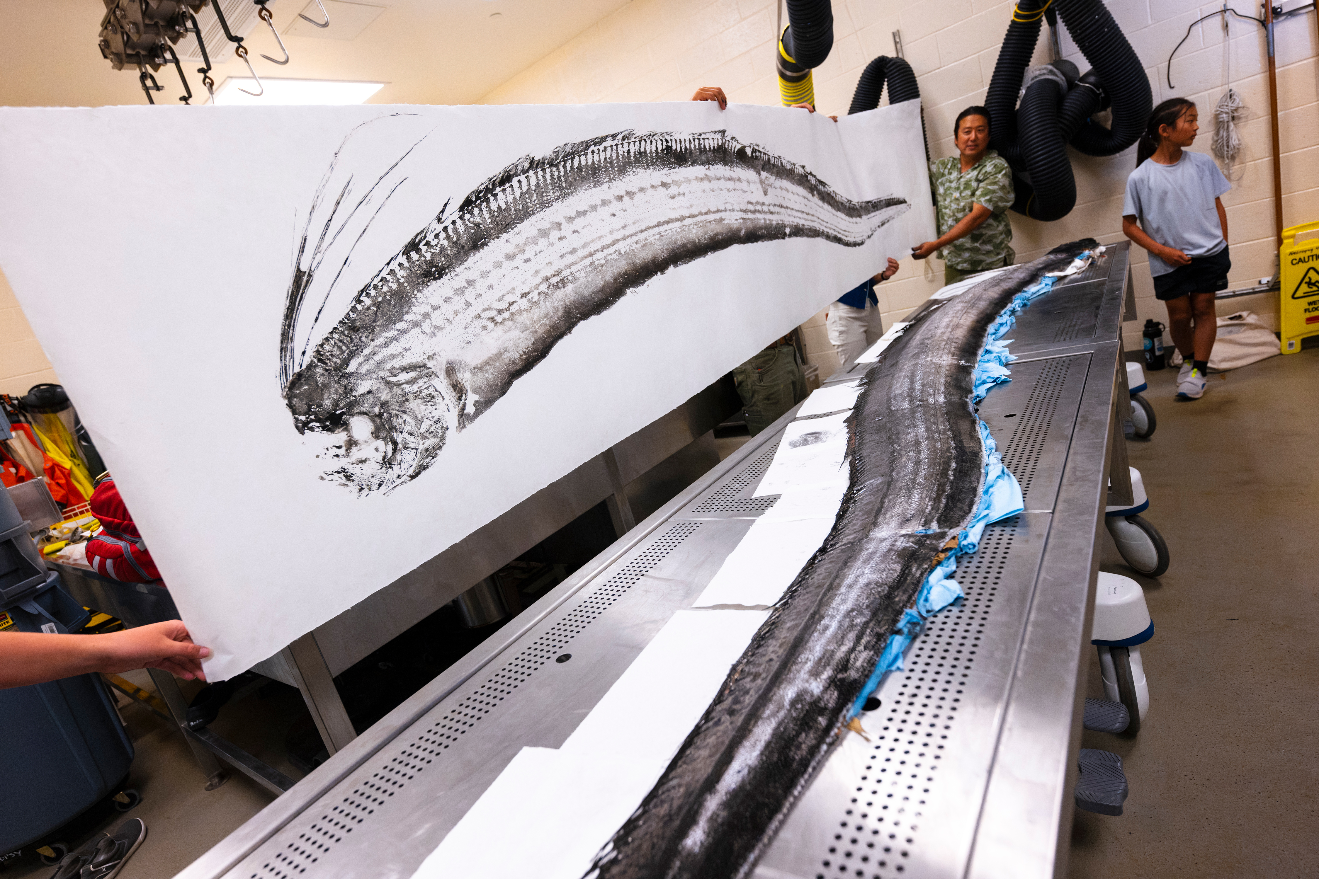 Gyotaku artist Dwight Hwang makes a print of the oarfish for archiving.