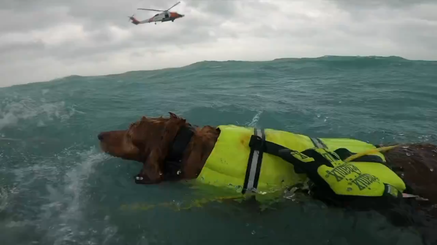 The U.S. Coast Guard rescued a man and his dog during Hurricane Helene after their sailboat became disabled and began taking on water.