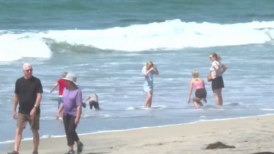 Reabren playas de Imperial Beach que fueron cerradas por contaminación