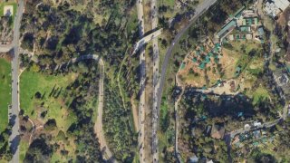 A Google Earth image of the area in Balboa Park where the body was found