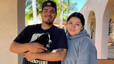 San Diegans adopt more than 250 pets during annual Clear the Shelters event