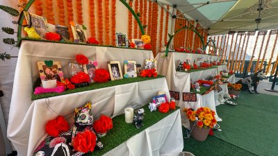 Altar del Día de los Muertos para mascotas en el zoológico de Los Ángeles