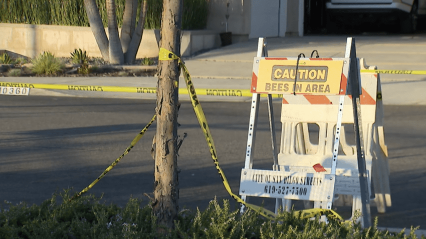 A caution sign that says "bees in the area" in Scripps Ranch on Oct. 9, 2024.