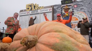 Su calabaza ganadora pesó 2,471 libras, quedando por debajo del récord mundial que estableció el año pasado con una que pesaba 2,749 libras.