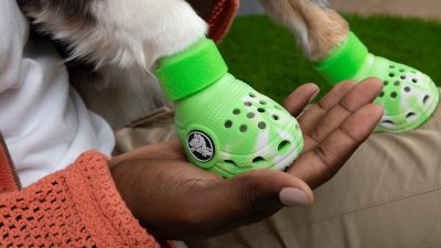 Crocs launches Pet Crocs for dogs