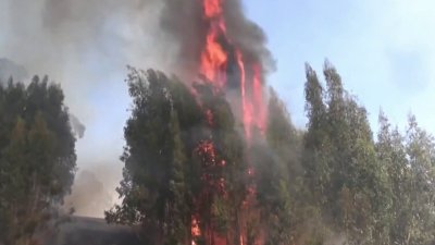 Continúa advertencia por riesgo de incendios forestales por vientos de Santa Ana