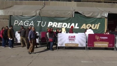 Ofrecen descuento en el pago del predial en Tijuana