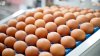 El condado afirma que los huevos de 