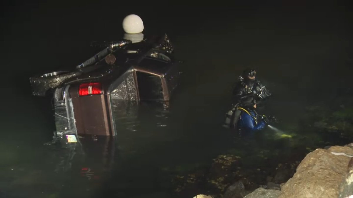 Woman Dies After Vehicle Falls Into Bay – Telemundo San Diego