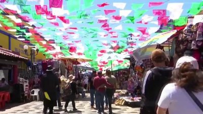 ¿Cómo viajar de forma segura a México?