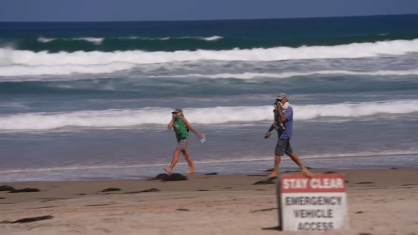 Investigan hallazgo de cadáver de una ballena en playa de San Diego