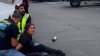 Agentes del ICE vestidos de civil detienen a mujer en un hotel de San Diego