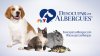 Vuelve la campaña anual de adopción de mascotas ‘Desocupar los Albergues’, de Telemundo 20 y NBC 7