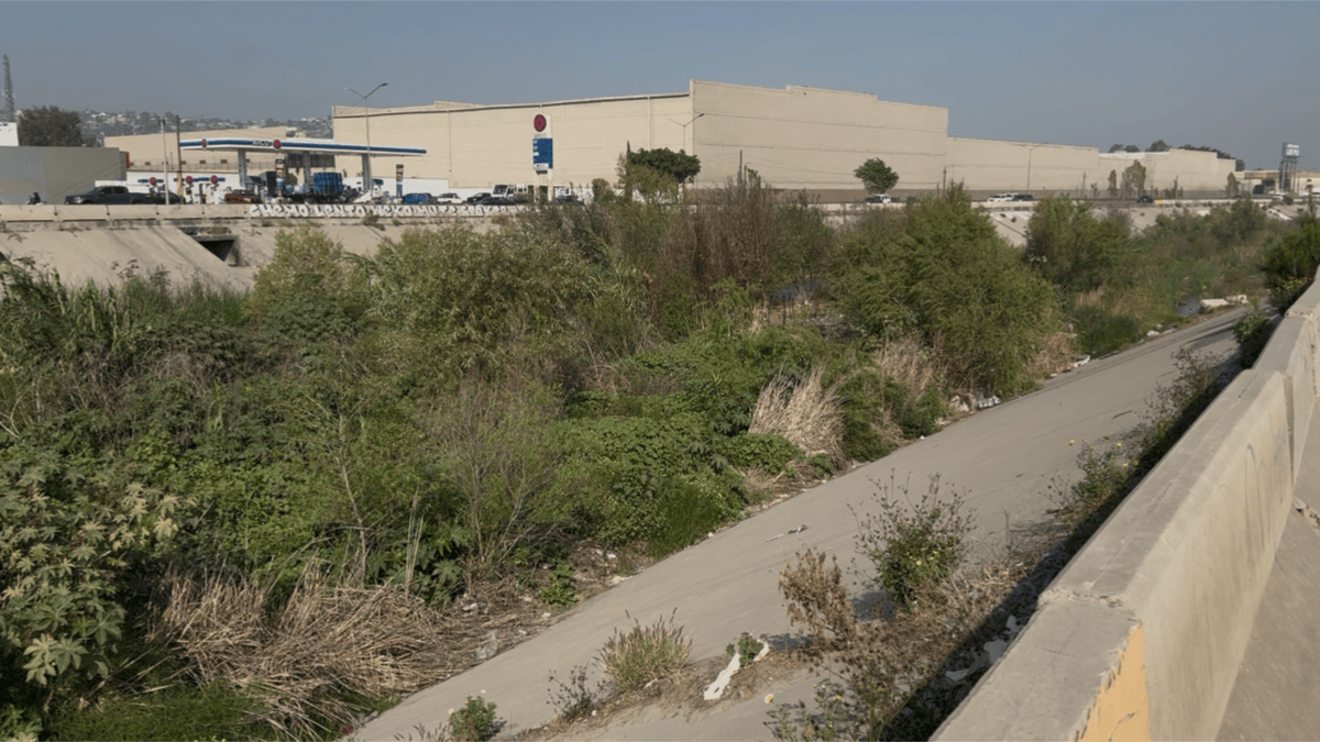 Exhorta regidor a Conagua a limpiar canalizacion del Río Tijuana ...