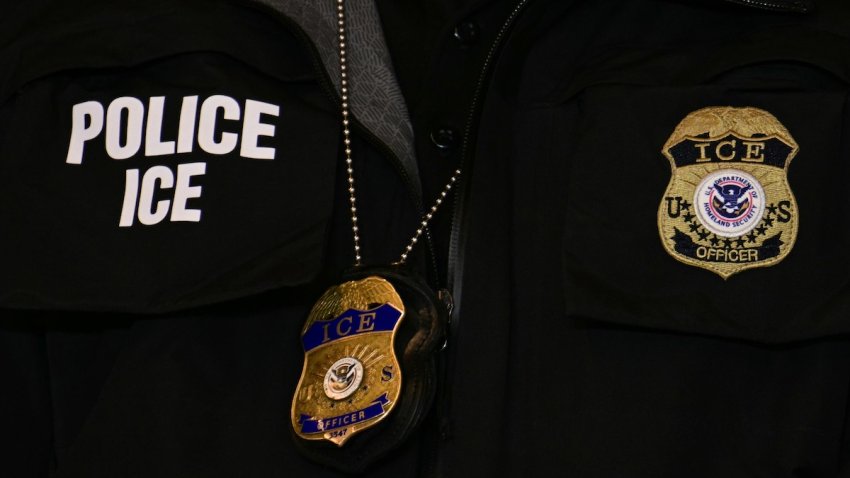 ICE patch and badge