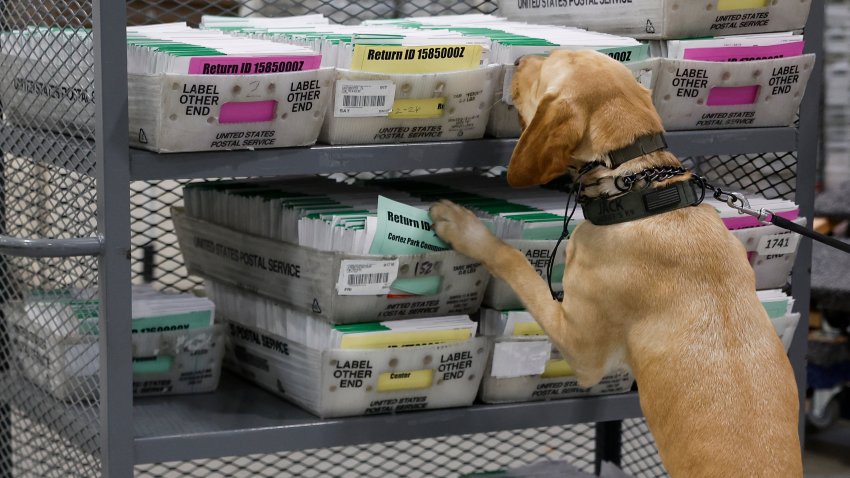 A police dog sniffs ballots for dangerous substances at the Los Angeles County Ballot Processing Center in City of Industry, California, US, on Tuesday, June 2, 2026. The vote tabulation generally takes days to complete in California elections, because a mail-in ballot is valid as long as it was postmarked on Election Day and received no later than seven days after the election. Photographer: Caroline Brehman/Bloomberg via Getty Images