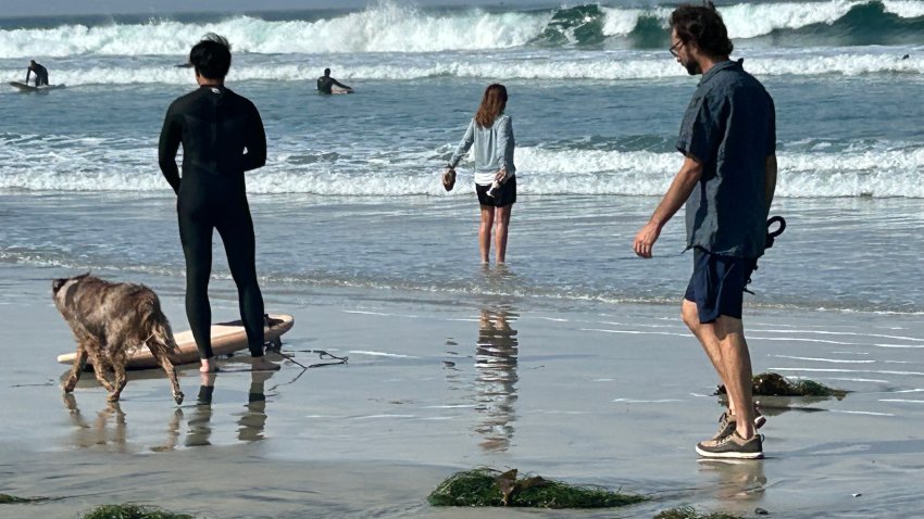 High wave swells at Tourmaline Surf Park, Sunday, attract surfers and other beachgoers,  Pacific Beach, Calif., June 14, 2026.