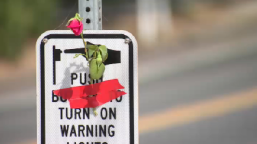 Flower at crosswalk