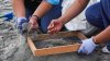 Asociación organiza jornadas de limpieza de microplásticos en las playas de Tijuana