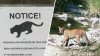 Colocan señales de advertencia tras avistamiento de un puma en el Parque Regional Mission Trails