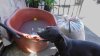 Vecinos de Mariano Matamoros llevan semanas con intermitencias de agua en plena ola de calor